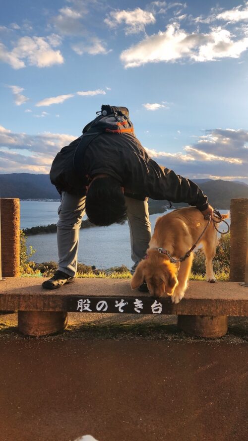 天橋立傘松公園　ジャスミン