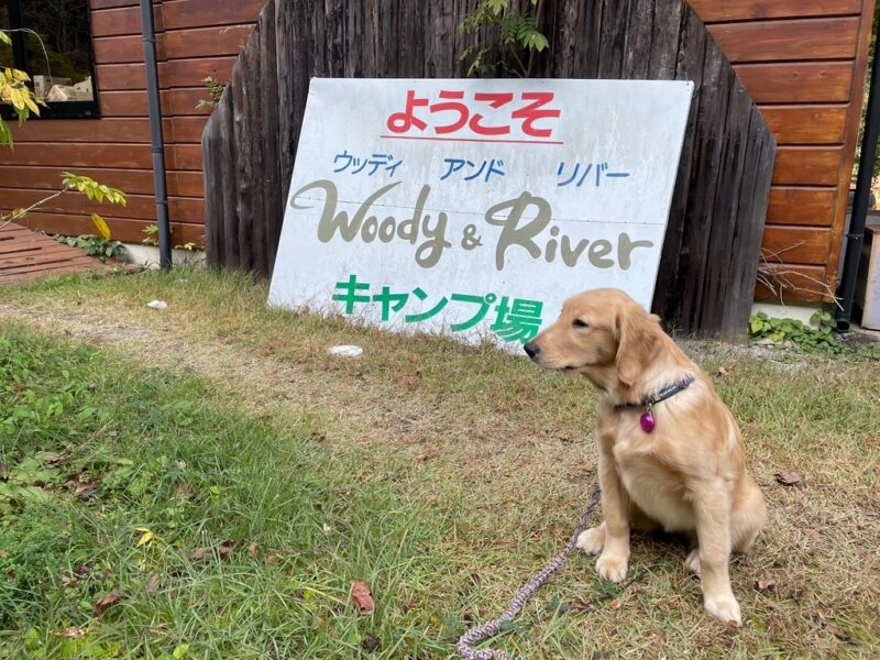 Woody&Riverキャンプ場 看板