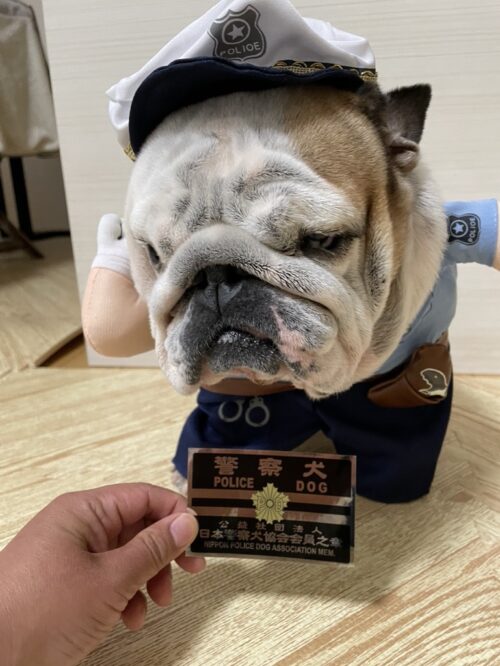 警察犬協会　プーちゃん