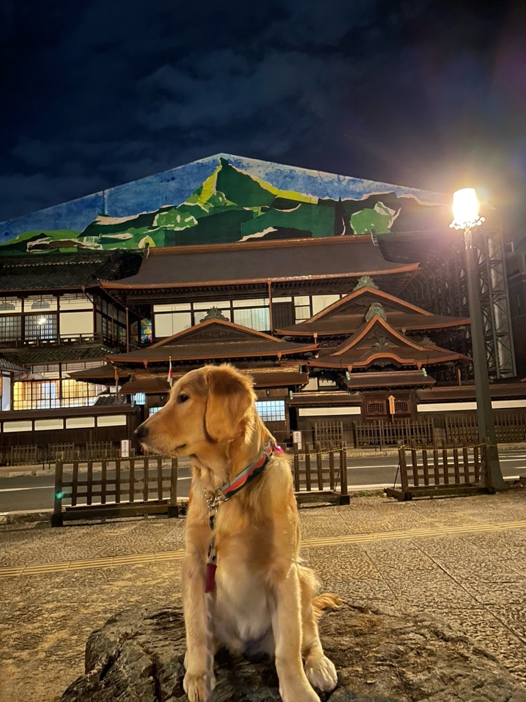 道後温泉本館　ジャスミン