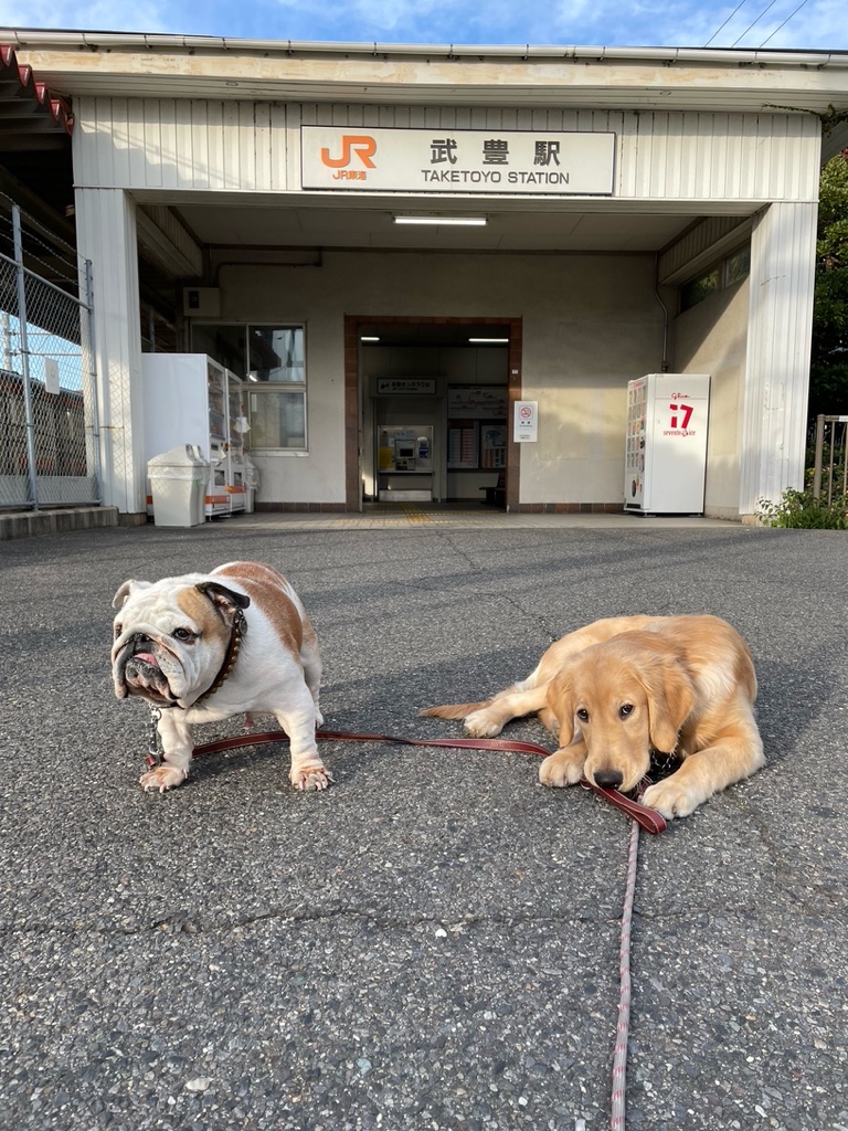 【3438キロの旅】JR武豊駅 プーちゃん＆ジャスミン