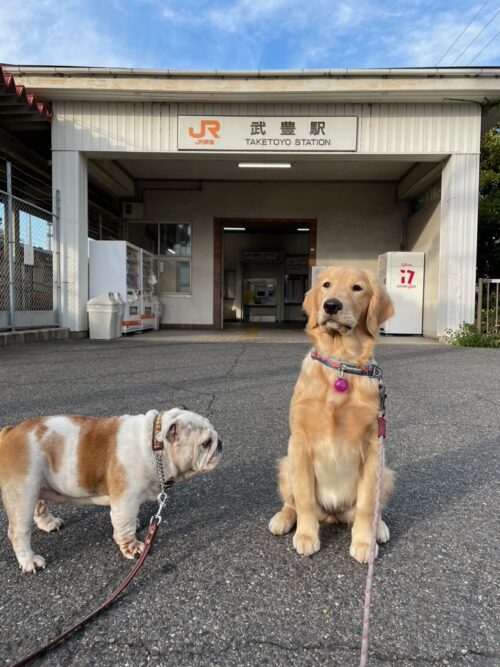 【3438キロの旅】JR武豊駅 プーちゃん＆ジャスミン