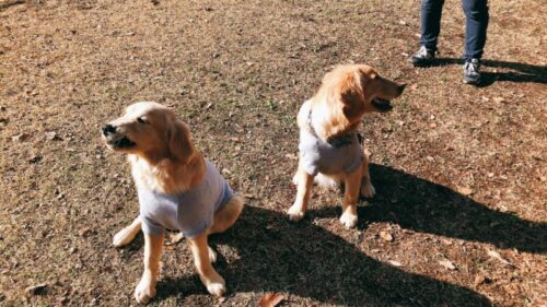 国営武蔵丘陵森林公園　えるちゃん＆ジャスミン