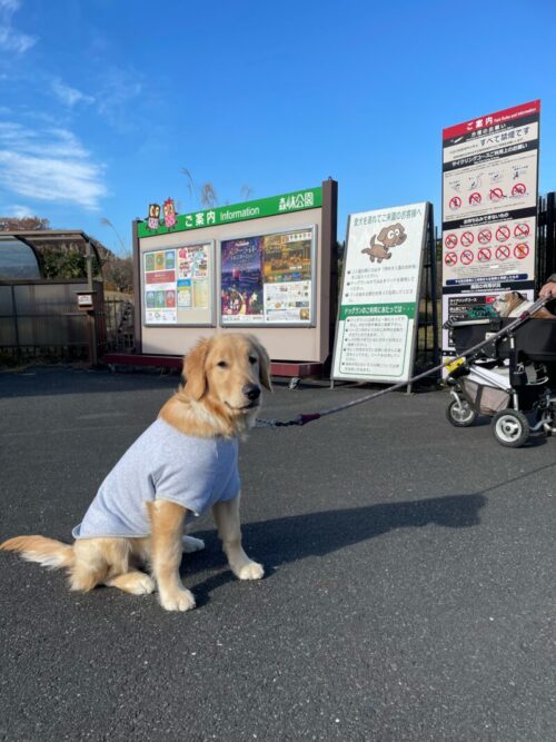 国営武蔵丘陵森林公園　プーちゃん＆ジャスミン