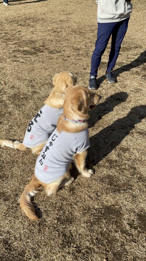 国営武蔵丘陵森林公園　えるちゃん＆ジャスミン