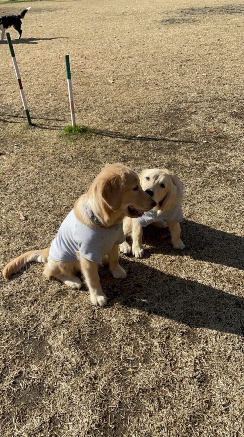 国営武蔵丘陵森林公園　えるちゃん＆ジャスミン