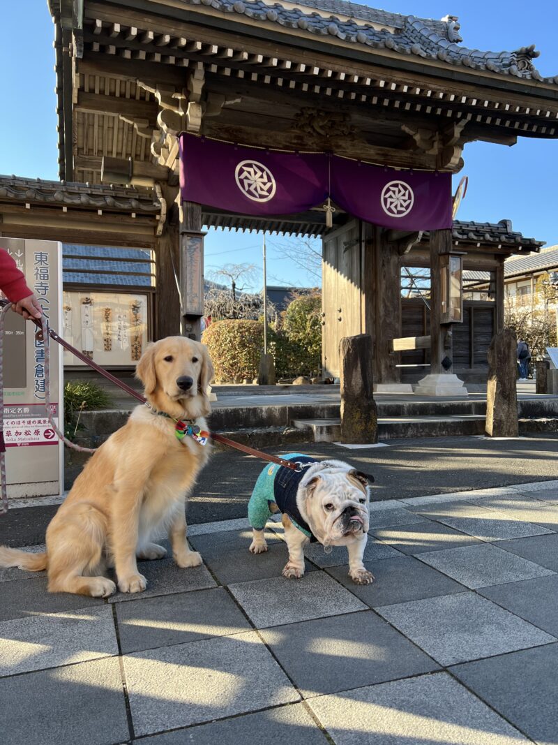 毘沙門天　プーちゃん&ジャスミン