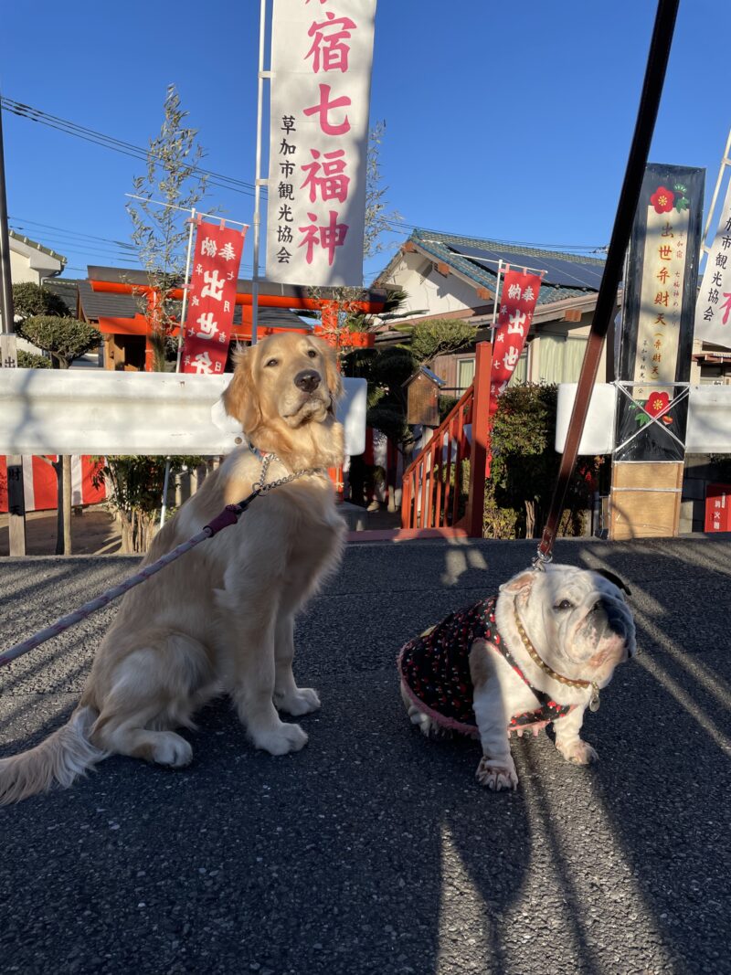 初詣　プーちゃん&ジャスミン