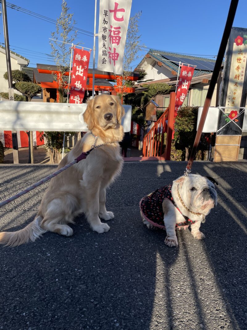 初詣　プーちゃん&ジャスミン