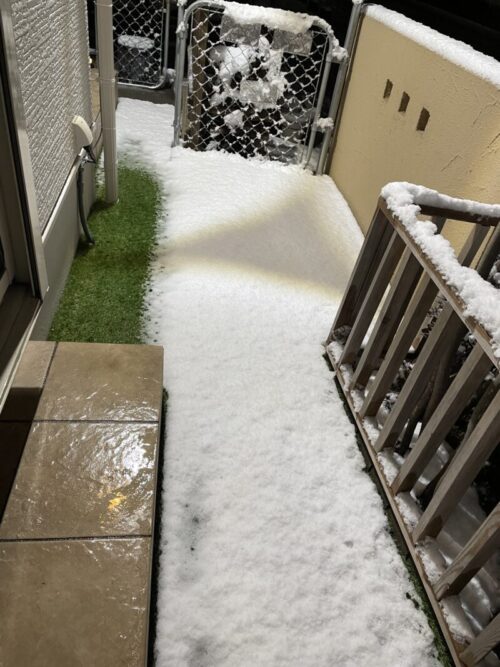 雪　P's Garden