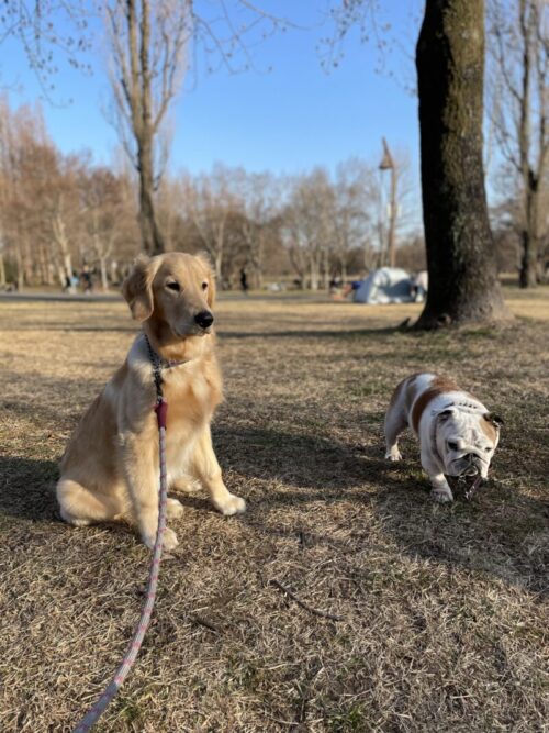 水元公園　プーちゃん＆ジャスミン