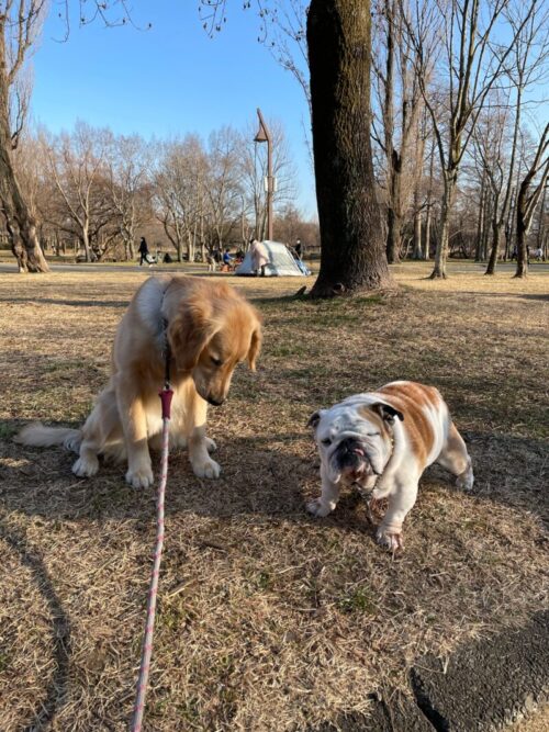 水元公園　プーちゃん＆ジャスミン