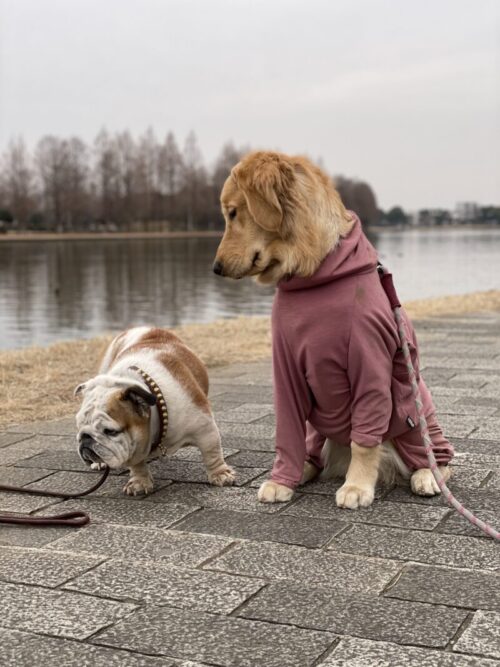 水元公園　プーちゃん＆ジャスミン