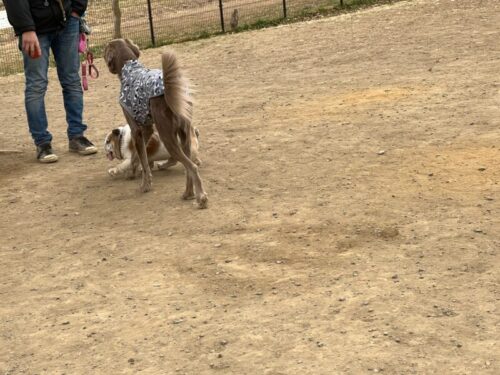 水元公園　プーちゃん