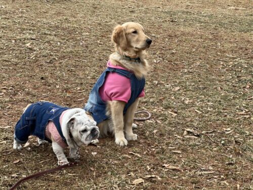 水元公園　プーちゃん＆ジャスミン