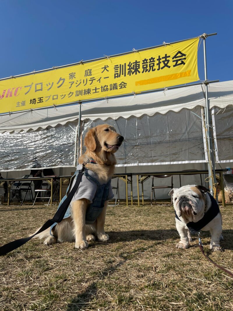 JKCブロック家庭犬訓練競技会