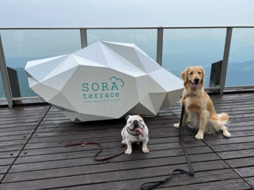 SORA terrace（ソラテラス）- 竜王マウンテンリゾート