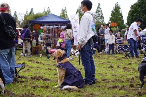 BOO !!BULLBOO !!FESTA 椅子取りゲーム ジャスミン姫