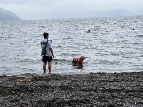 琵琶湖で泳ぐ