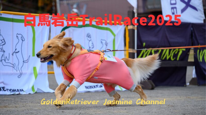 白馬岩岳TrailRace2025