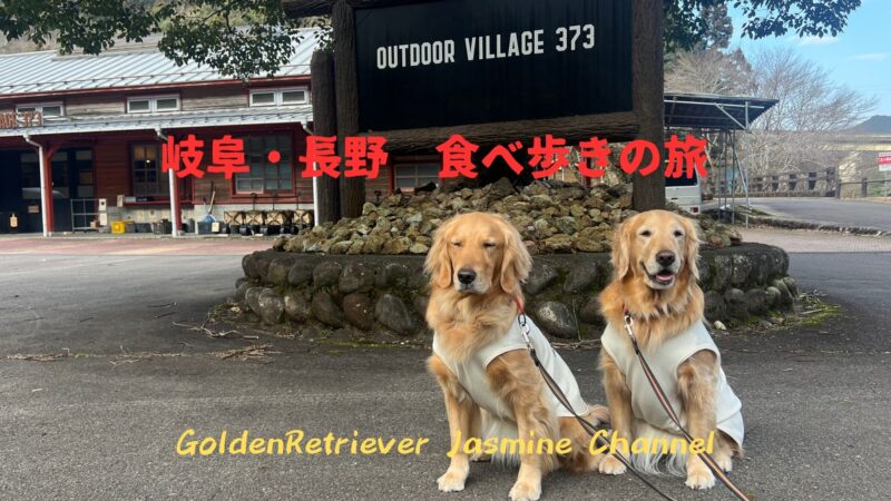 【ゴールデンレトリバー】ジャスミン・アリス、岐阜と長野食べ歩き旅
